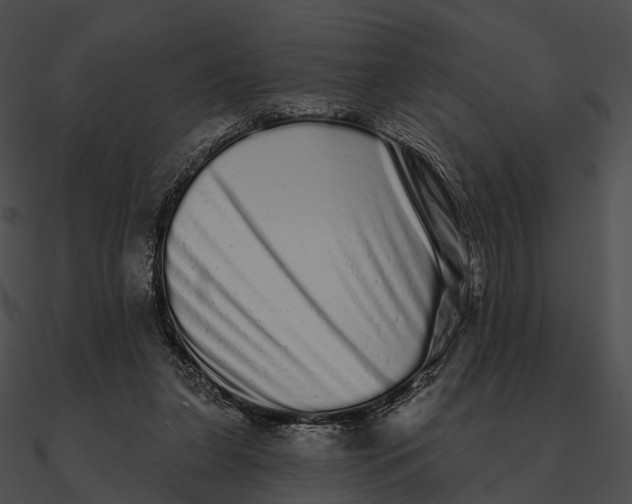 X0000090500255200708031215