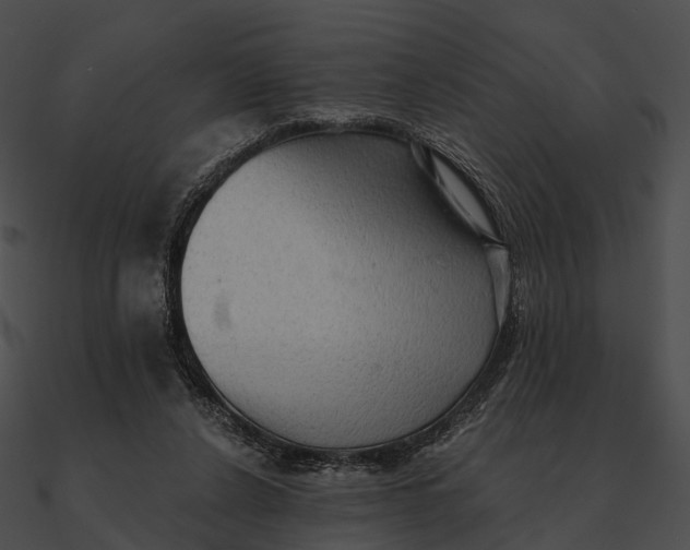 X0000090500256200708031215