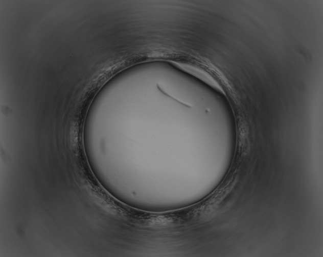 X0000090500257200708031215