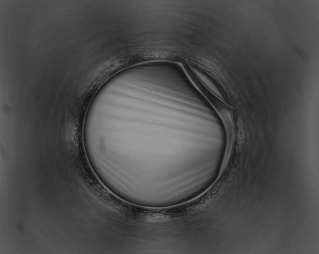 X0000090500258200708031215