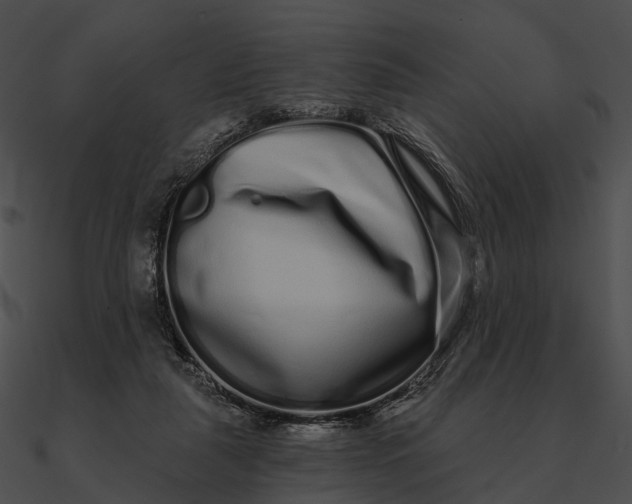 X0000090500259200708031215