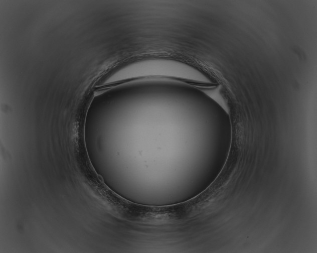 X0000090500260200708031215