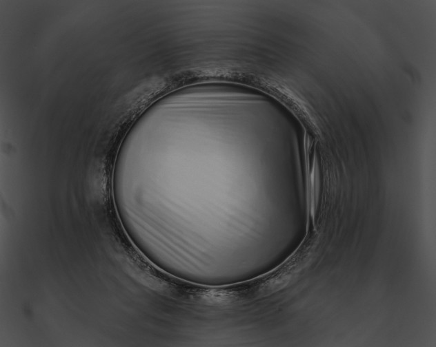 X0000090500261200708031215