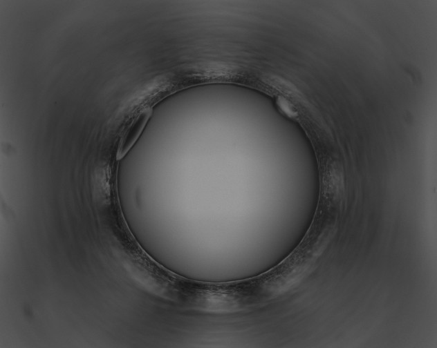 X0000090500264200708031215