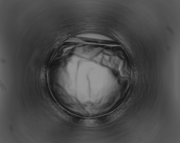 X0000090500265200708031215