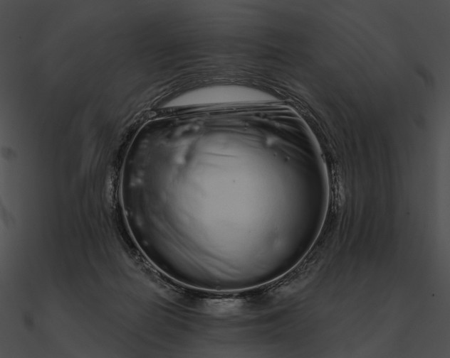 X0000090500266200708031215