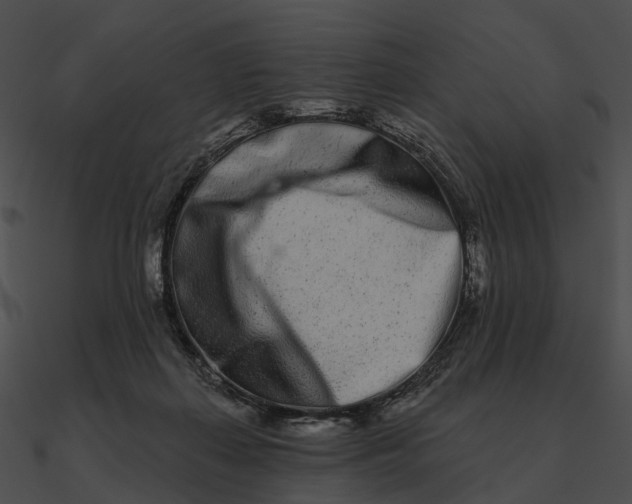 X0000090500267200708031215