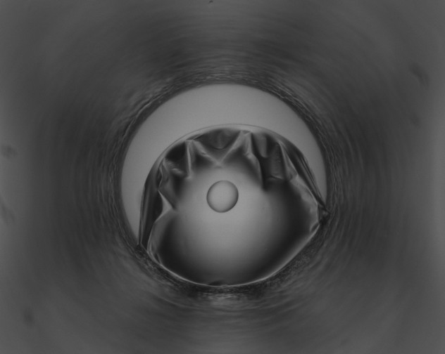 X0000090500268200708031215