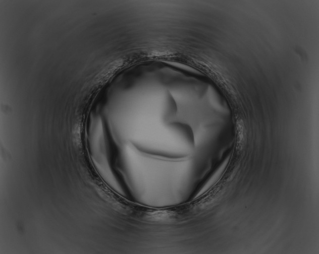 X0000090500269200708031215