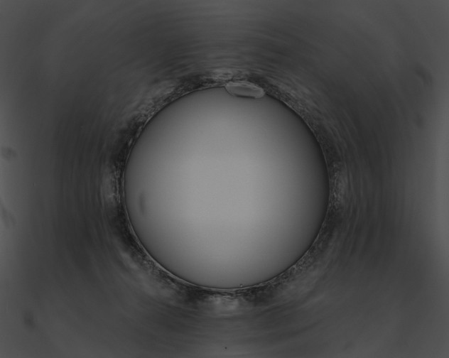 X0000090500272200708031215