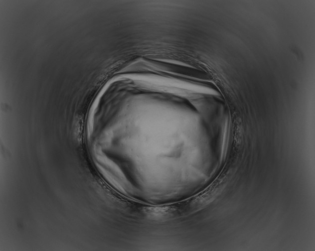 X0000090500273200708031215