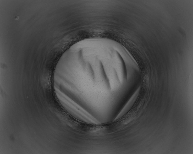 X0000090500274200708031215