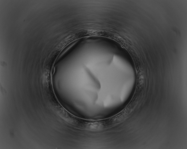 X0000090500275200708031215