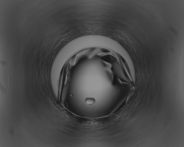 X0000090500276200708031215