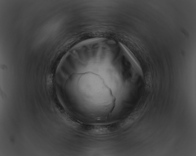 X0000090500278200708031215