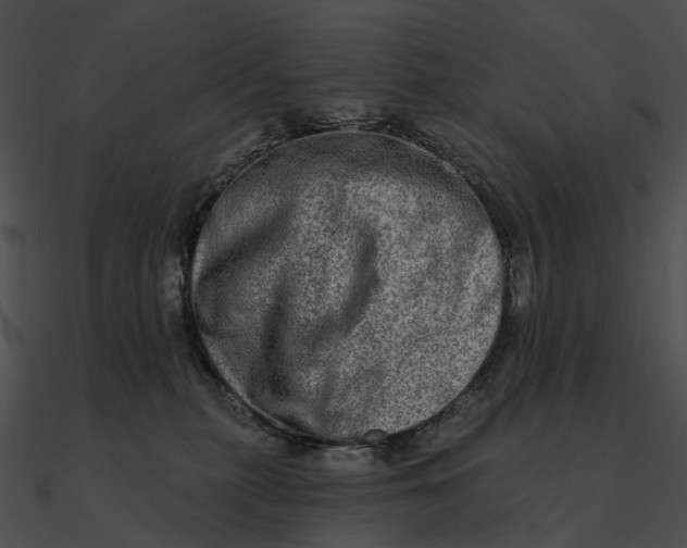 X0000090500279200708031215