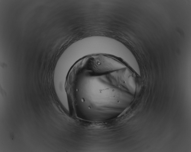 X0000090500280200708031215