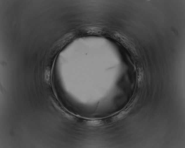 X0000090500281200708031215