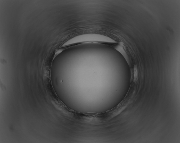 X0000090500284200708031216