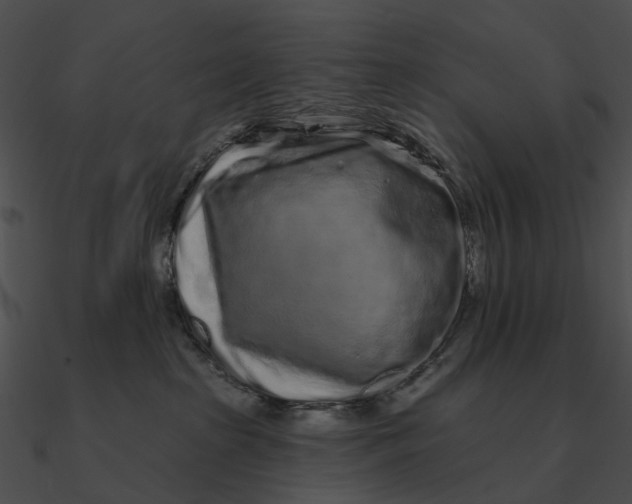 X0000090500285200708031216