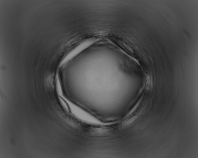 X0000090500286200708031216