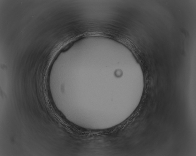 X0000090500289200708031215