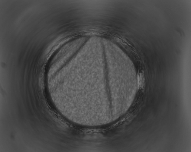 X0000090500291200708031215