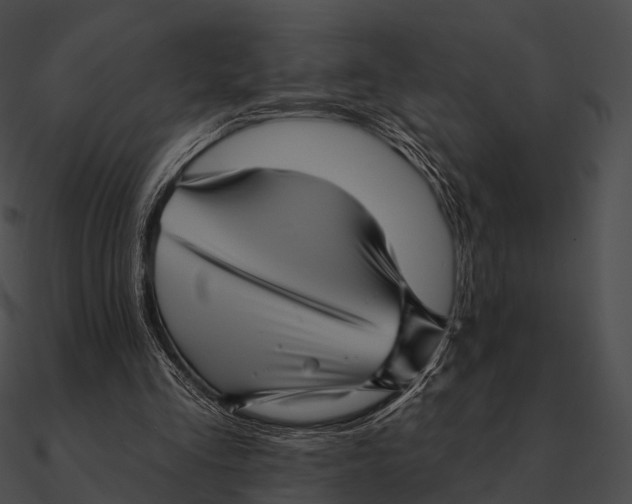 X0000090500293200708031215