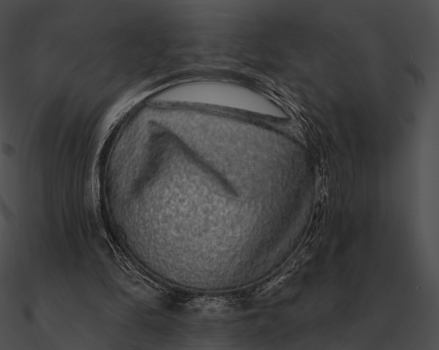 X0000090500294200708031215