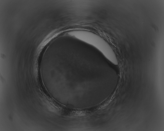 X0000090500295200708031215