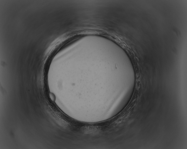 X0000090500296200708031215