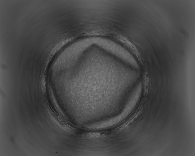 X0000090500298200708031215