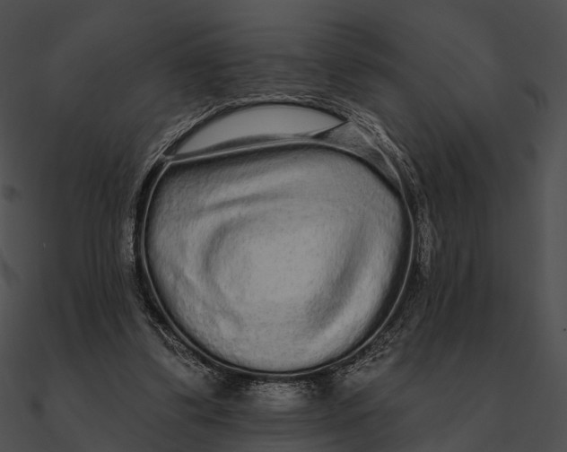 X0000090500299200708031215