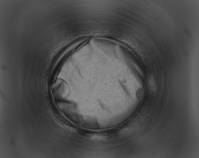 X0000090500303200708031215