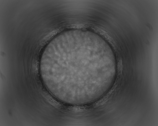 X0000090500305200708031215