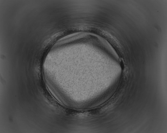 X0000090500306200708031215