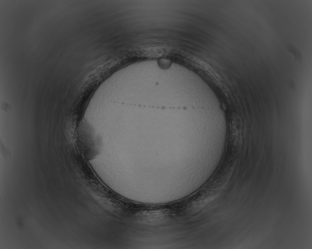 X0000090500307200708031215