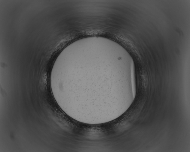 X0000090500308200708031215