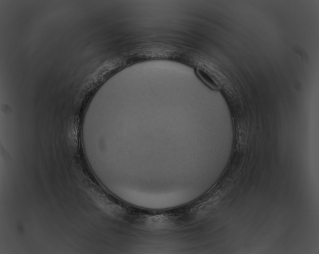 X0000090500309200708031215