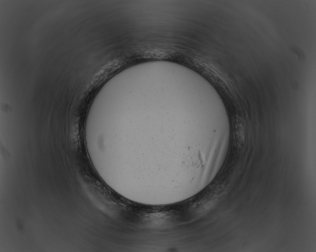 X0000090500312200708031215