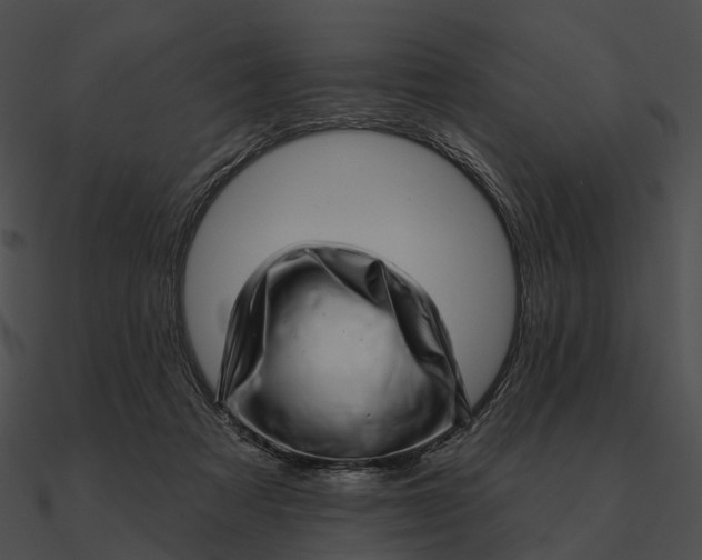 X0000090500313200708031215