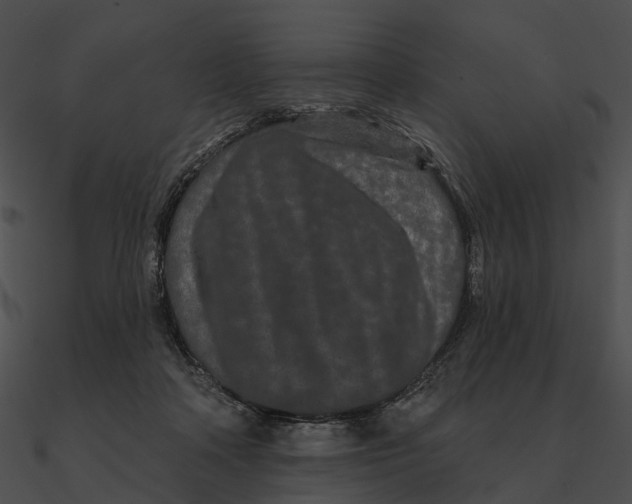 X0000090500314200708031215