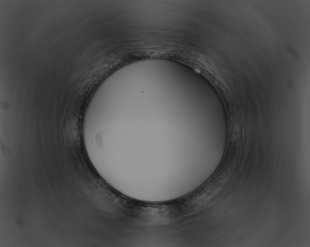 X0000090500317200708031215