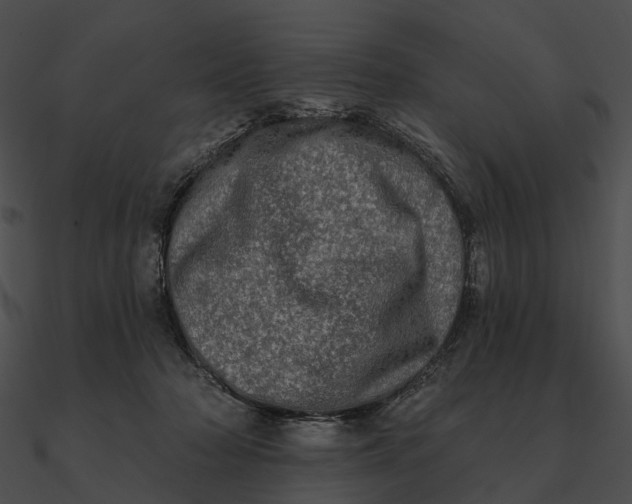 X0000090500318200708031215