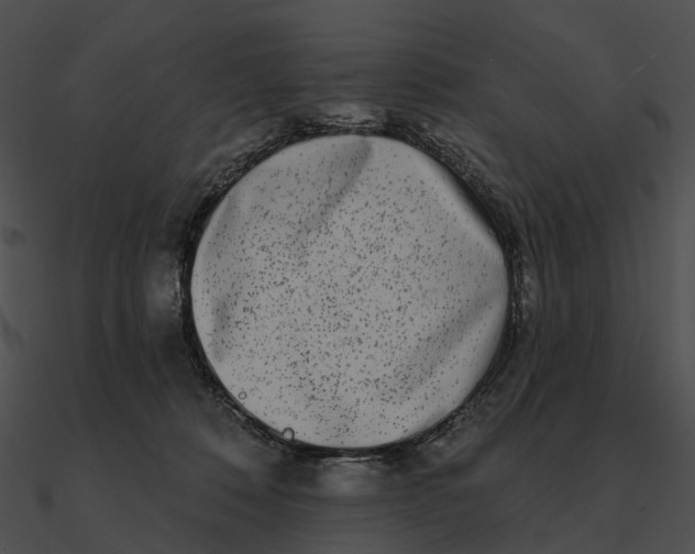 X0000090500320200708031215