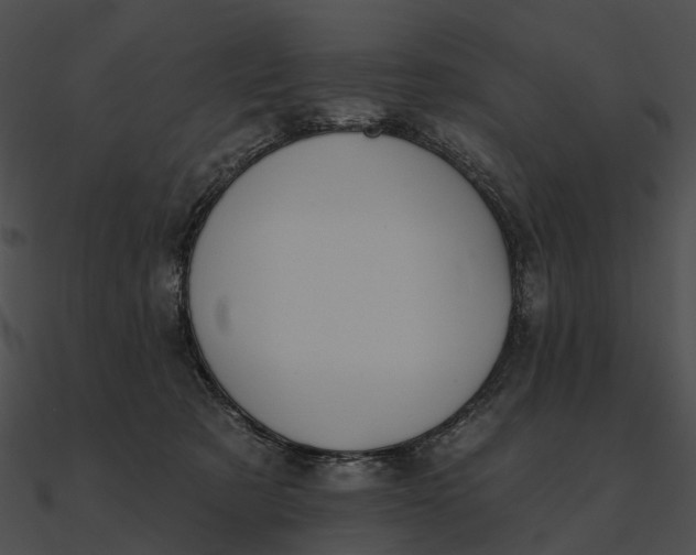 X0000090500321200708031215