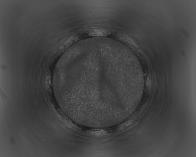 X0000090500322200708031215