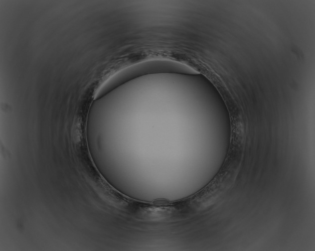 X0000090500323200708031215