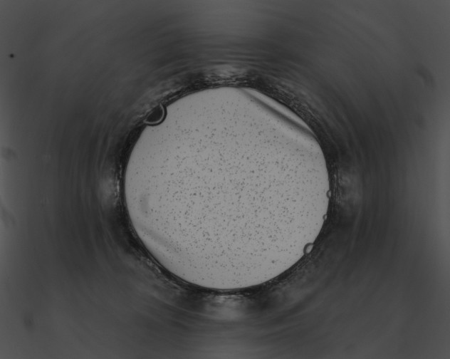 X0000090500324200708031215