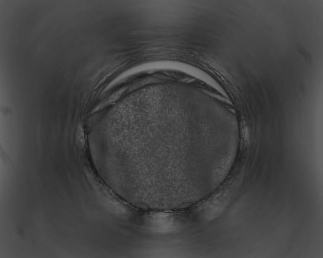 X0000090500325200708031214